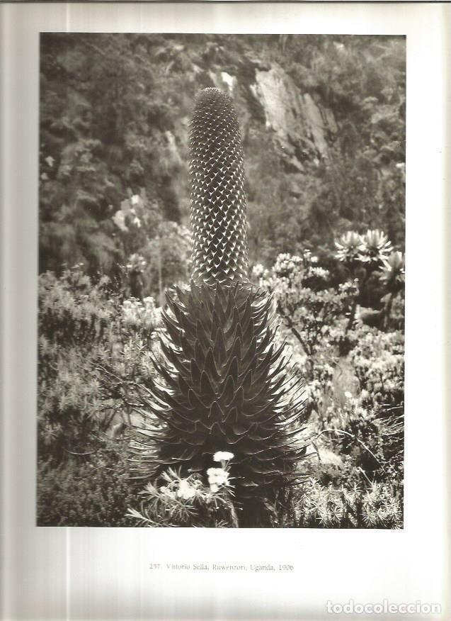 Postcards: LAMINA V02254: V. Sella, Ruwenzori, Uganda, 1906 - Varios