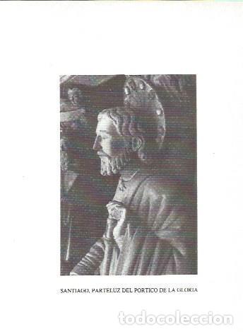 Postales: LAMINA V02285: Catedral de Santiago. Parteluz del Portico de la Gloria - G. Fuertes Dominguez