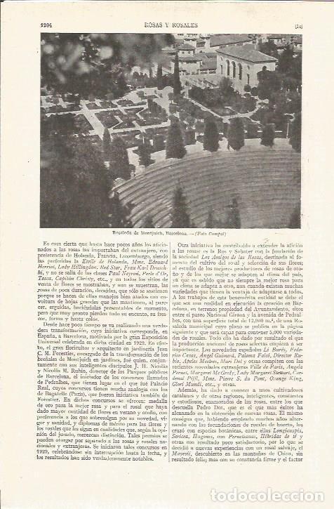 Postales: LAMINA V05140: Rosaleda de Montjuich, Barcelona - Varios