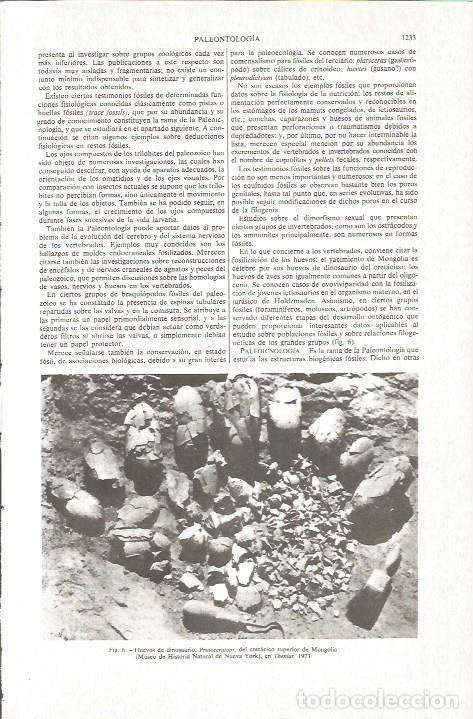 Postales: LAMINA V06297: Huevos de dinosaurio Protoceratops en Mongolia - Varios