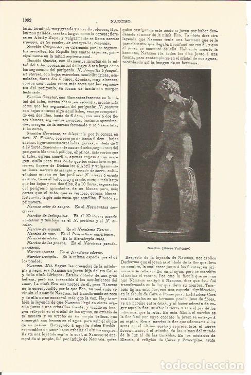 Cartoline: LAMINA V04745: Narciso en Museo Vaticano - Varios