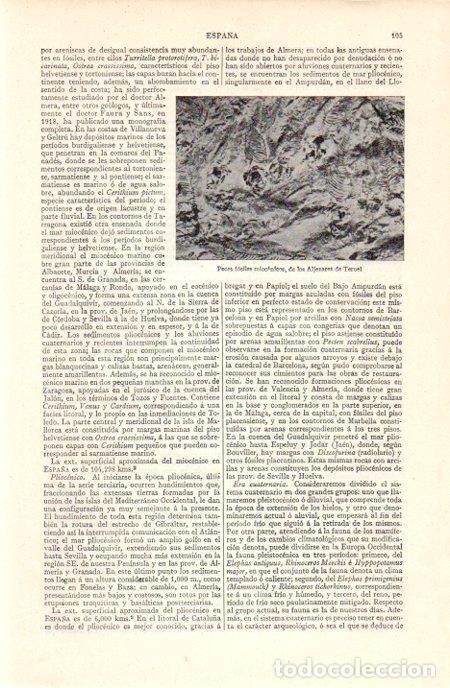 Postais: LAMINA V07102: Peces fosiles miocenicos del los Aljezares de Teruel - Varios