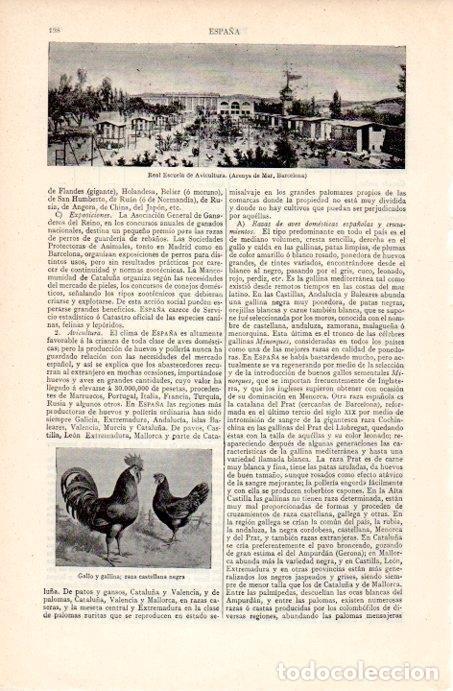 Postais: LAMINA V07117: Real Escuela de Avicultura en Arenys de Mar - Varios