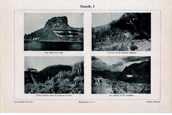 Postais: LAMINA V08301: Vistas de Tenerife - Varios