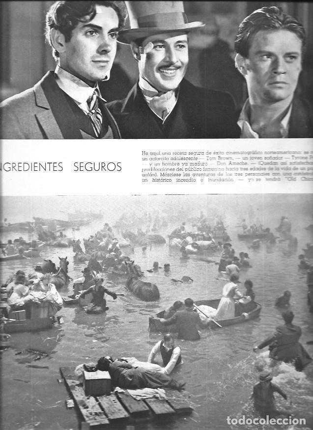 Cartoline: LAMINA 30144: Tom Brown, Tyrone Power y Don Ameche - VVAA