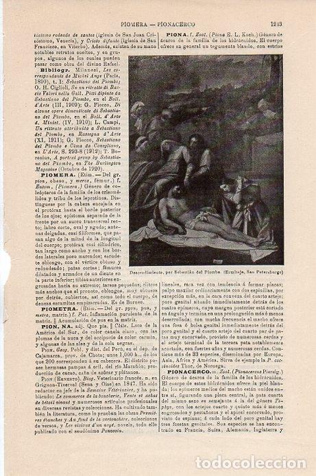 Postcards: LAMINA V09509: Descendimiento, por Sebastian del Piombo - Varios