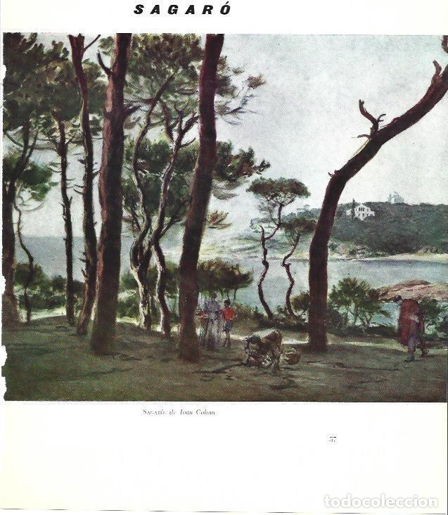 Postales: LAMINA 31449: Sagaro, por Joan Colom - Ramon Reig