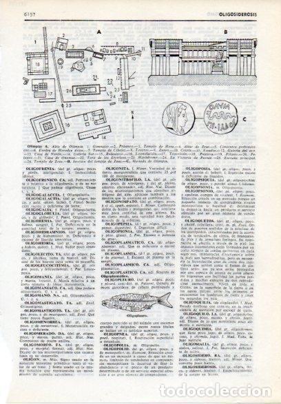 Postais: LAMINA V12179: Olimpia y oligopleuro - Varios