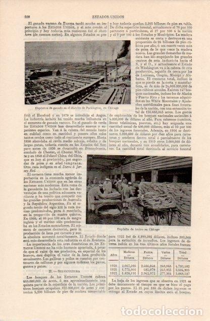 Postais: LAMINA V12568: Deposito de ganado en Packington, Chicago - Varios