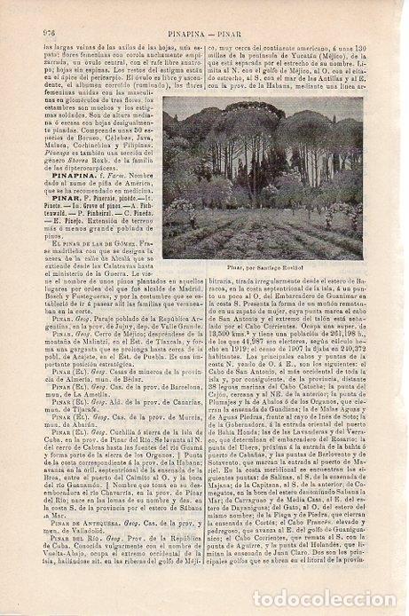 Postales: LAMINA V09457: Pinar, por Santiago Rusi&ntilde;ol - Varios