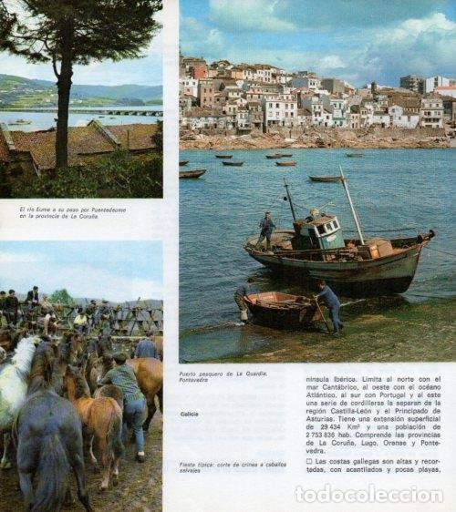 Postales: LAMINA V13909: Puerto pesquero de La Guardia, Pontevedra - Varios