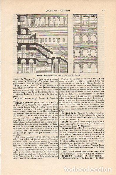 Postcards: LAMINA V10575: Corte transversal del Coliseo en Roma - Varios