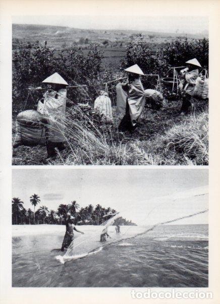Postales: LAMINA V14976: Pesca de camarones en Malaysia - Varios