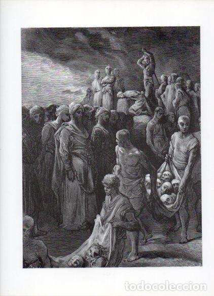 Postales: LAMINA V16126: Las Cruzadas. Ilustracion de Gustavo Dore. Modelo 242 - NULL