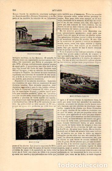 Postais: LAMINA V16338: Acuarios de Amsterdam y Roma - Varios