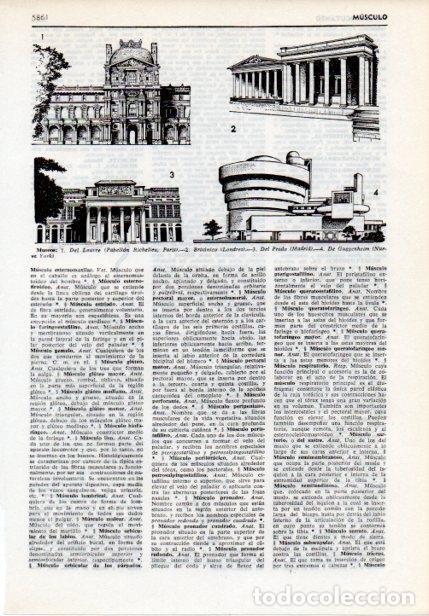 Postales: LAMINA V12129: Museo de Louvre, Britanico, Del Prado y Guggenheim - Varios
