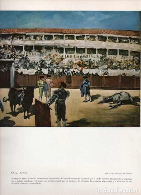 Cartoline: LAMINA V18234: Corrida por Manet - Luciano Berti