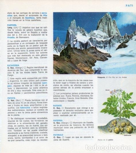 Cartoline: LAMINA V14053: Fitz Roy en los Andes, Patagonia - Varios