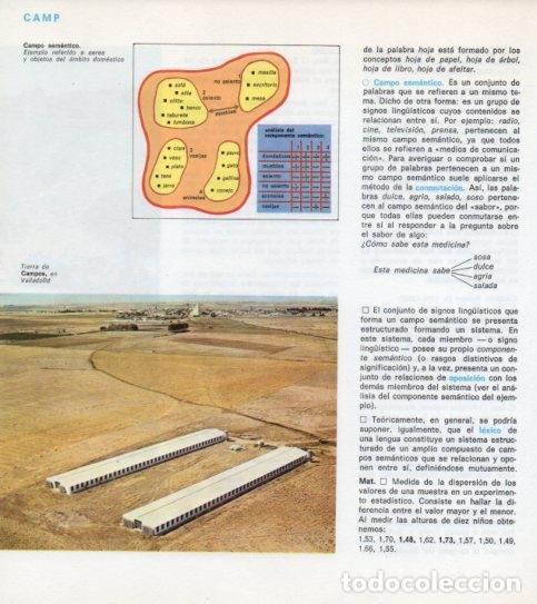 Postkarten: LAMINA V14162: Tierra de Campos en Valladolid - Varios