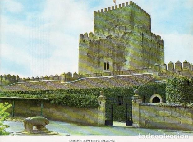 Postales: LAMINA V14215: Castillo de Ciudad Rodrigo, Salamanca - Varios