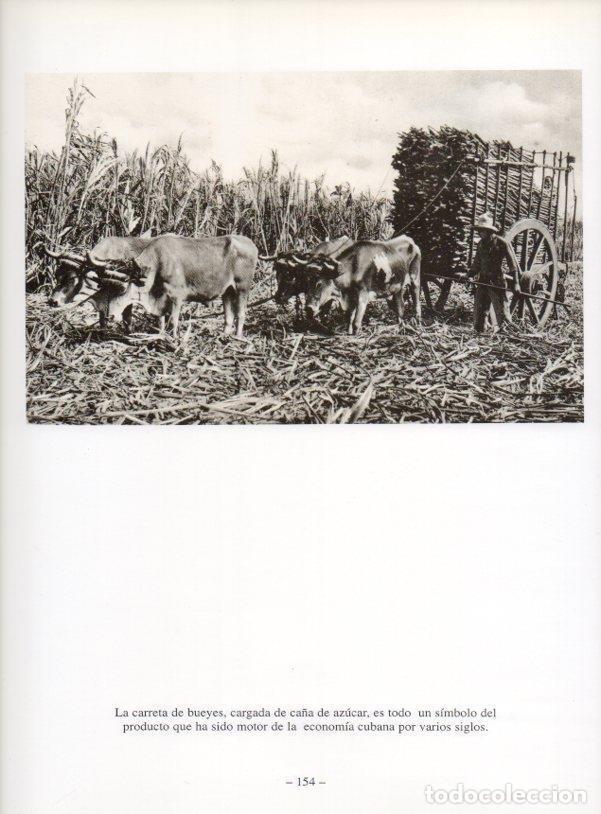 Postcards: LAMINA V19957: La Habana. Carreta de bueyes cargada de ca&ntilde;a de azucar - Antonio Ramon Pelaez Huerta