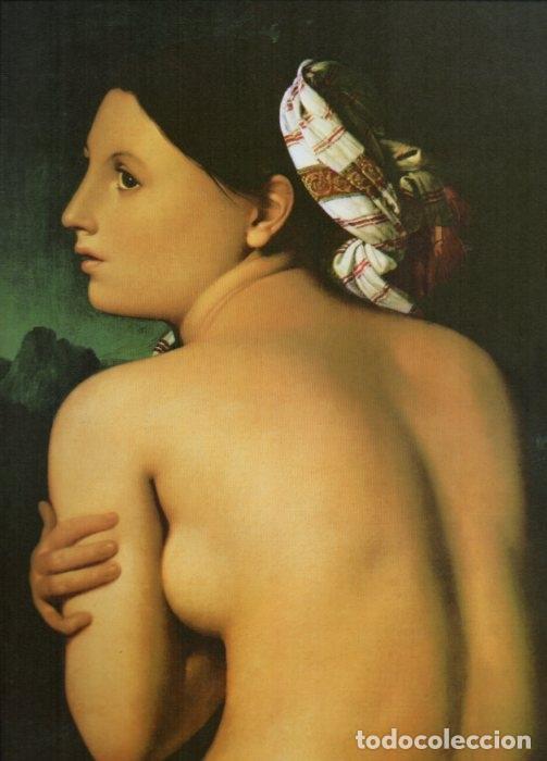 Cartoline: LAMINA V20478: Torso femenino por Ingres - Varios