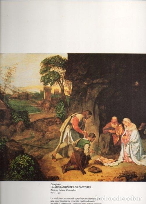 Cartoline: LAMINA V20430: La adoracion de los pastores por Giorgione - Varios
