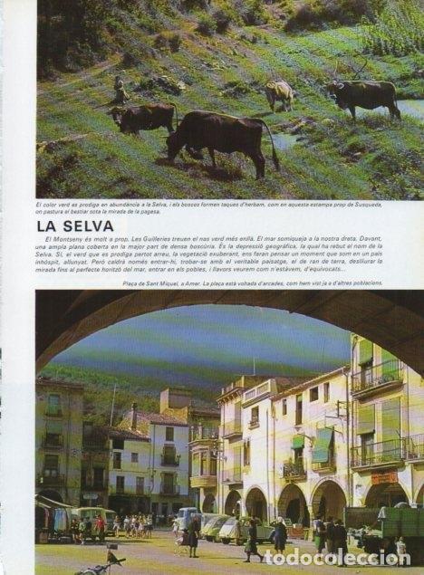 Cartoline: LAMINA V15731: Pla&ccedil;a de Sant Miquel, Amer - Varios