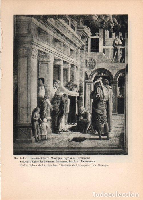 Postkarten: LAMINA V14822: Bautismo de Hermogenes, Iglesia de los Eremitani en Padua - Varios