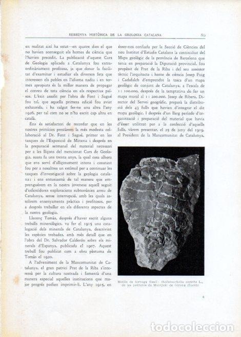 Postales: LAMINA V15105: Motlle de tortuga fossil de les pedreres de Montjuic de Girona - Varios