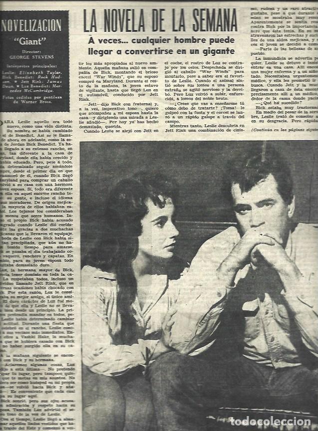 Postales: LAMINA 33104: Rock Hudson y Elisabeth Taylor en Gigante - VVAA