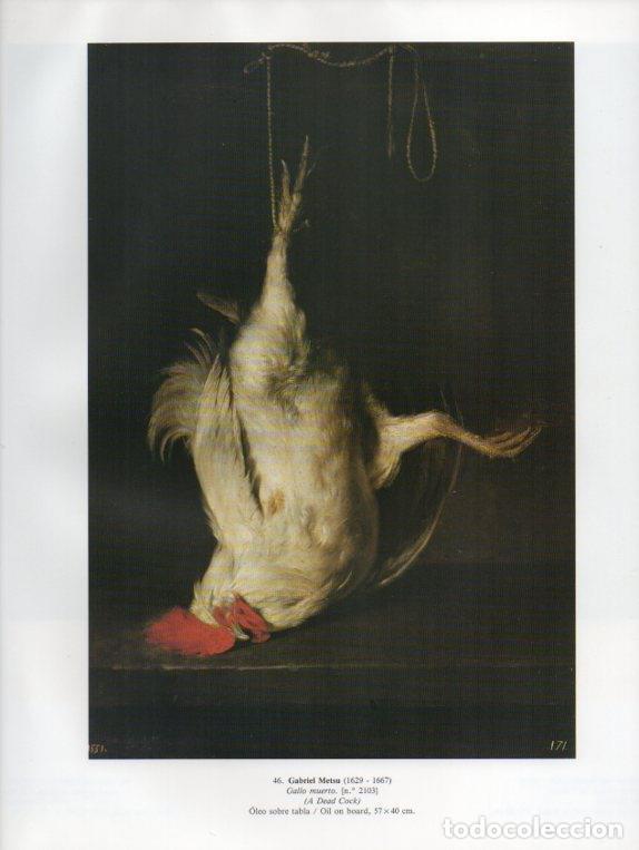 Postkarten: LAMINA V15880: Gallo muerto por Gabriel Metsu - Varios