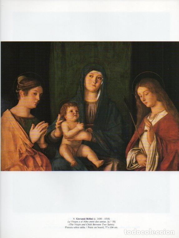 Postkarten: LAMINA V15836: La Virgen y el Ni&ntilde;o entre dos santas por Giovanni Bellini - Varios