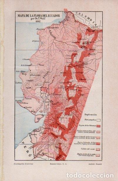 Postais: LAMINA V16623: Mapa de la flora de Ecuador - Varios