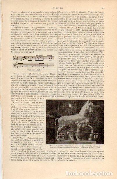 Postales: LAMINA V16642: Caballo de madera del Palacio de la Razon en Padua - Varios