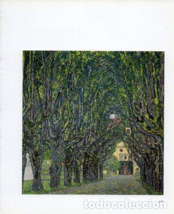 Postais: LAMINA V23297: Gustav Klimt. Avenida en el parque de Schloss Kammer - Varios