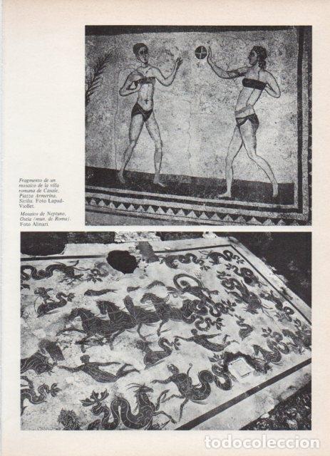 Postais: LAMINA V18772: Mosaico de Neptuno, Ostia - Varios