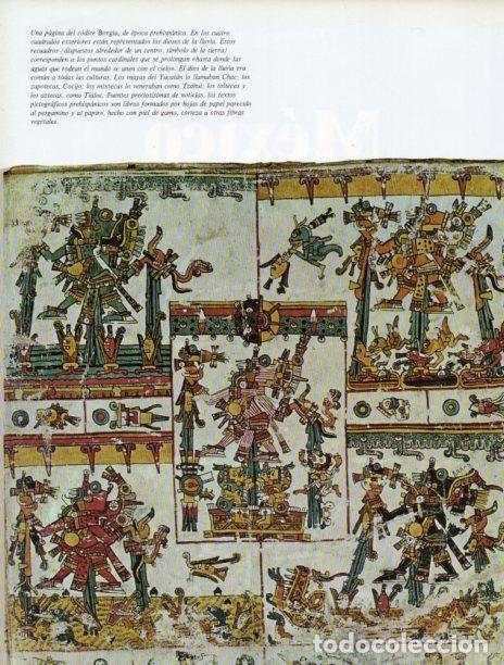 Cartoline: LAMINA V18258: Pagina del Codice Borgia - Carlos Alonso