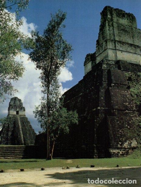 Postkarten: LAMINA V18272: Panoramica frontal de la Acropolis de Tikal - Carlos Alonso