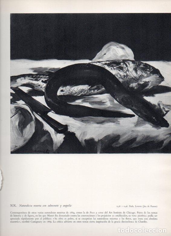 Postkarten: LAMINA V18232: Naturaleza muerta con salmonete y anguila por Manet - Luciano Berti