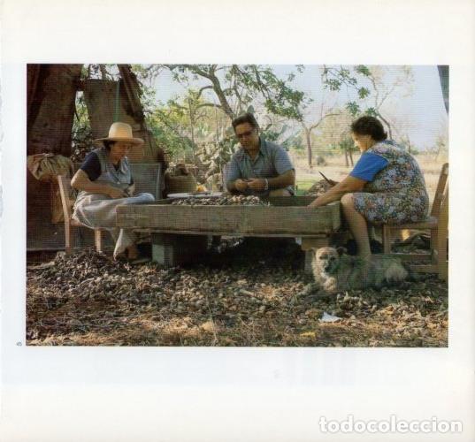 Cartoline: LAMINA V19601: Campesinos pelando almendras en Ibiza - Melba Levick