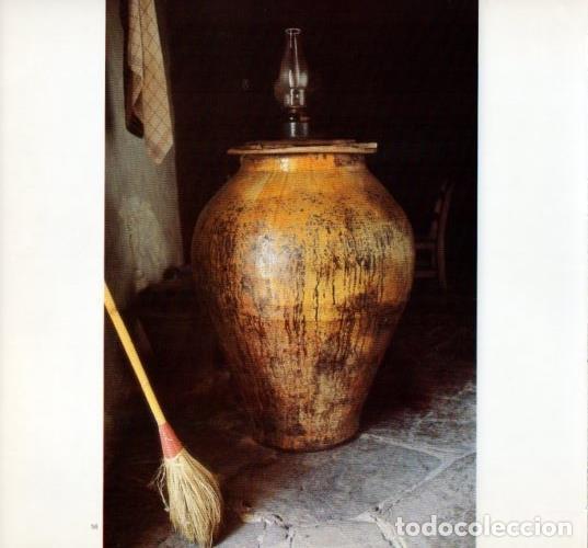 Postales: LAMINA V19606: Tinaja - Melba Levick