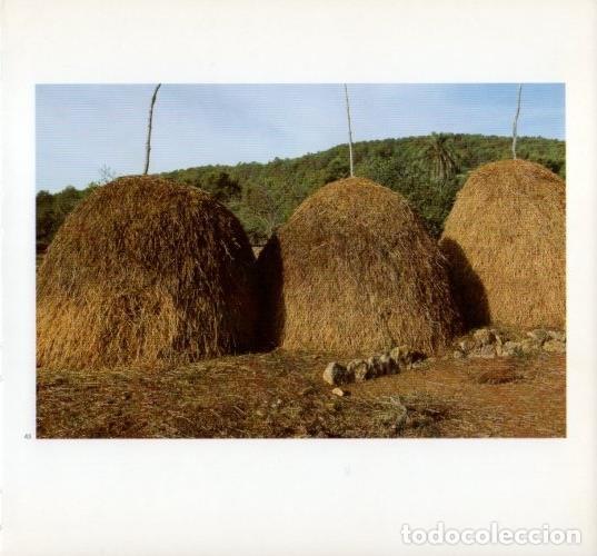 Cartoline: LAMINA V19600: Pajar en Ibiza - Melba Levick