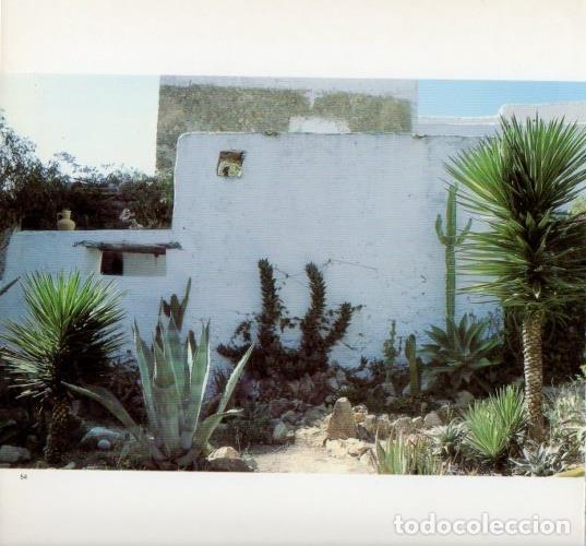 Cartoline: LAMINA V19605: Jardin con cactus en Ibiza - Melba Levick
