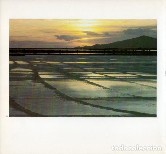 Cartoline: LAMINA V19613: Salinas en Ibiza - Melba Levick