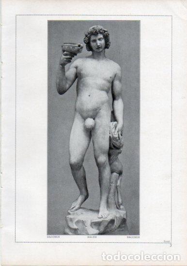 Postais: LAMINA V24164: Michelangelo. Bacchus - Varios