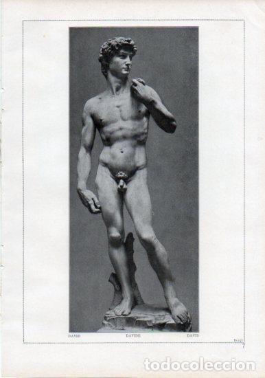 Postcards: LAMINA V24166: Michelangelo. David - Varios