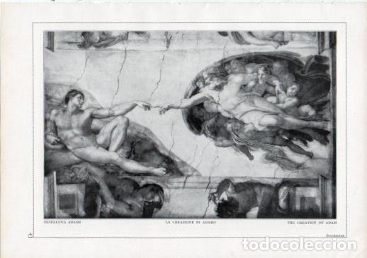 Postkarten: LAMINA V24184: Michelangelo. The creation of Adam - Varios
