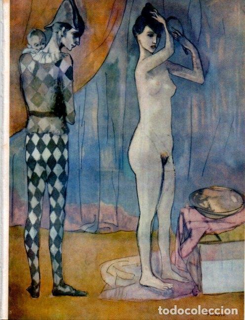 Postkarten: LAMINA V19156: Familia de arlequines por Picasso - Robert Goldwater