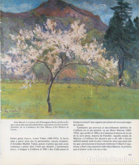 Cartoline: LAMINA V27203: Presseguers florits del Rosello per Lluis Bausil - Francesc Fontbona